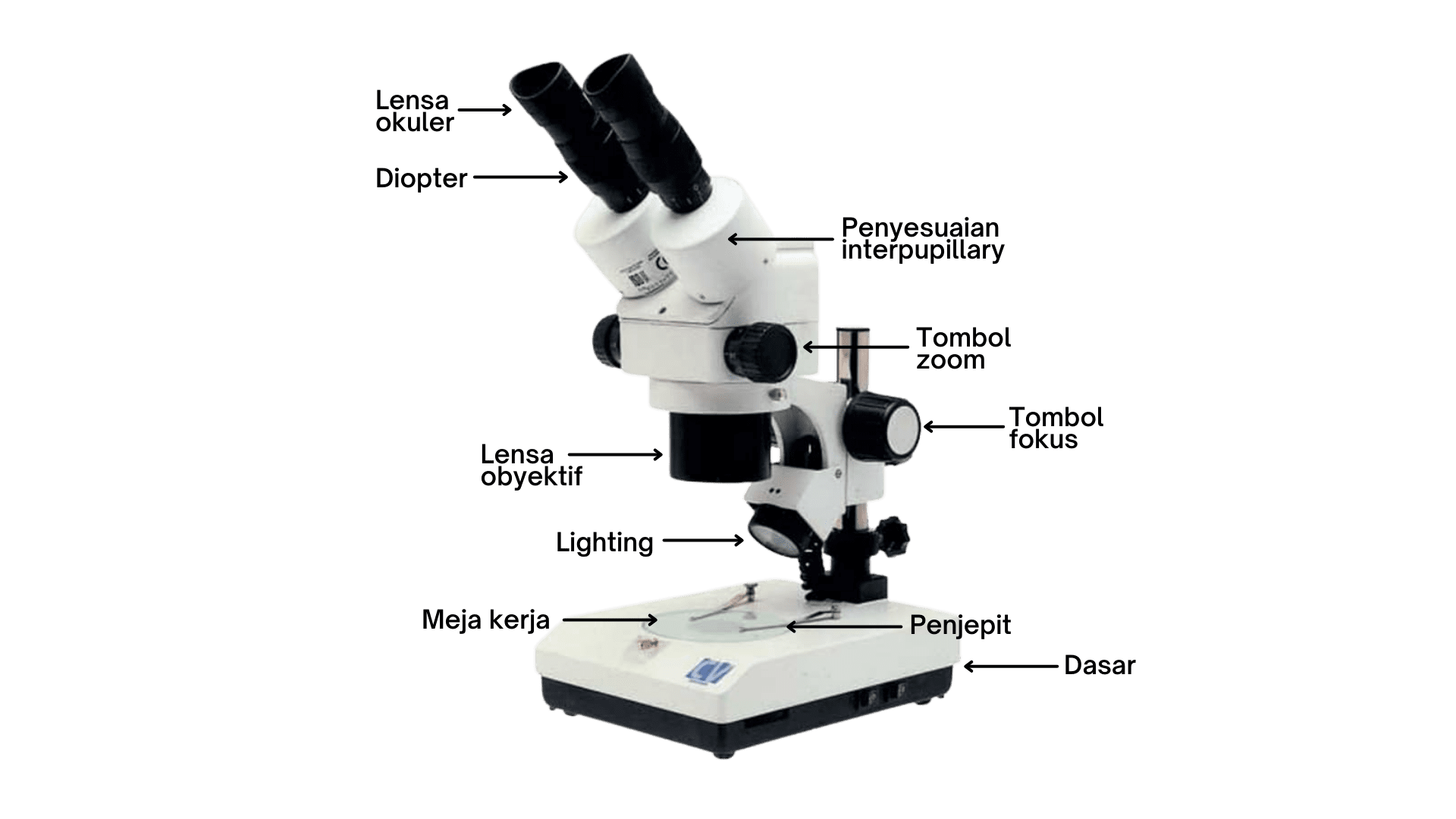 Mikroskop Jenis dan Contoh Microscope Berkualitas | PT Yakin Maju Sentosa